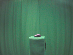 270 Degrees _ Picture 9 _ Amazon Basics Purple Mouse.png